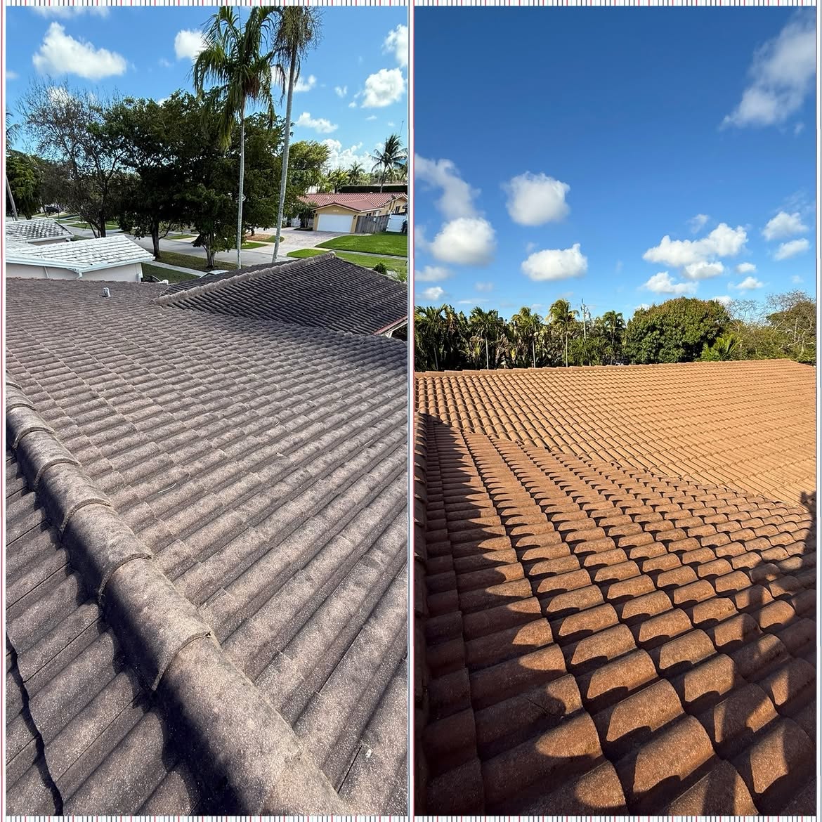 before and after image of clean residential roof